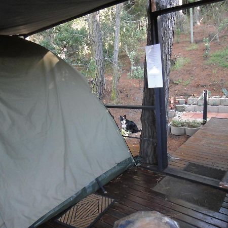 Eagles' Call Cottages And Tent Wildernis Екстериор снимка