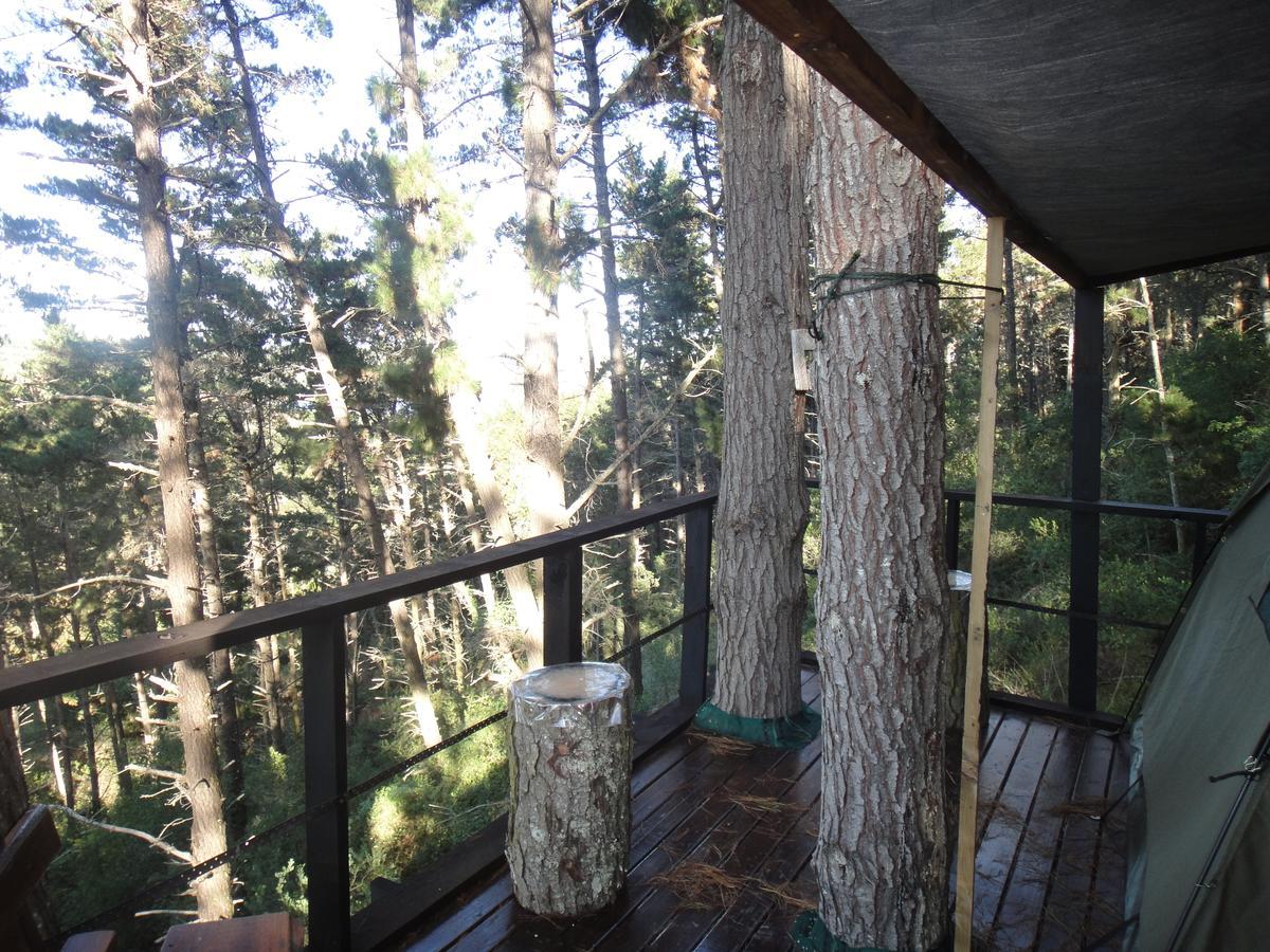 Eagles' Call Cottages And Tent Wildernis Екстериор снимка